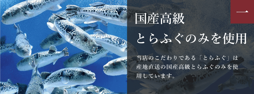 ふぐの日 国産高級とらふぐのみを使用
        当店のこだわりである「とらふぐ」は産地直送の国産高級とらふぐのみを使用しています。