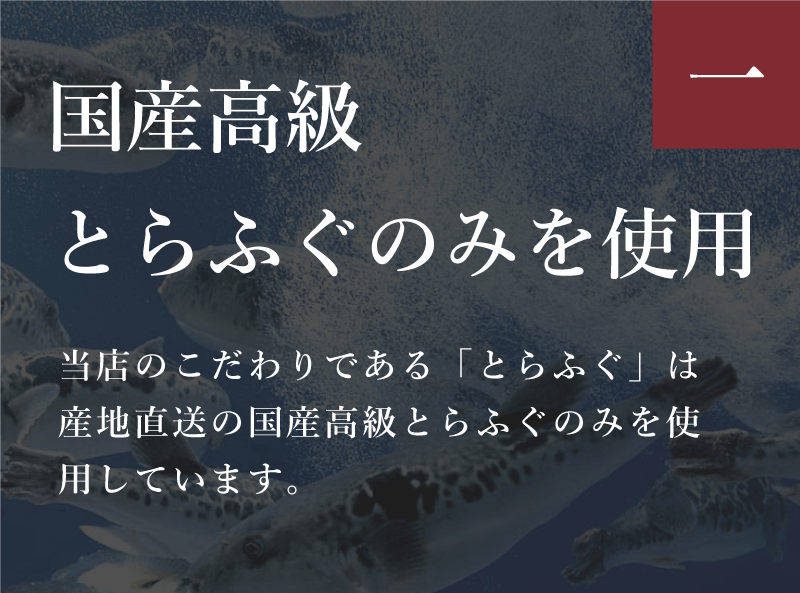 ふぐの日 国産高級とらふぐのみを使用
        当店のこだわりである「とらふぐ」は産地直送の国産高級とらふぐのみを使用しています。